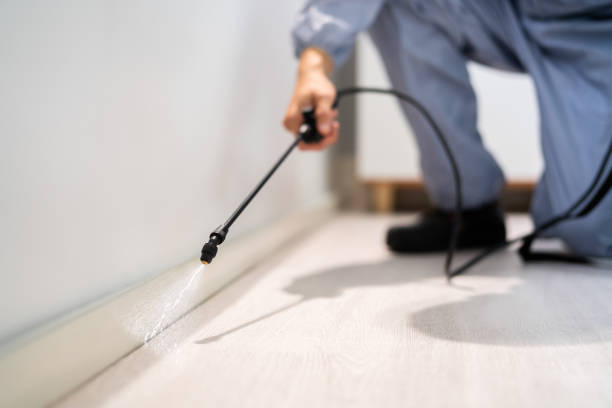 Licensed Pest Control service in Quakertown, PA - Show Me Pest Control